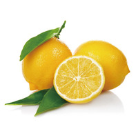 프래그런스오일 (YC Type) 메이어 레몬